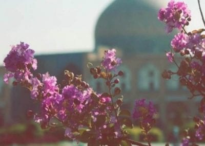 BIPS 2018 Spring Workshop