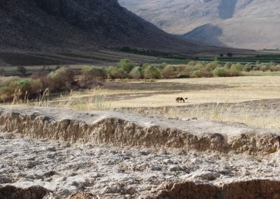 Innovation, Interaction & Interconnection in the Taurus-Zagros Arc and beyond 10,000-5,000BC