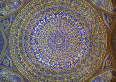 CANCELLED: The Natural World and the Making of the Modern Middle East