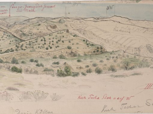 Beyond the Botanical with Persian collections at Kew Gardens’ Library and Archives