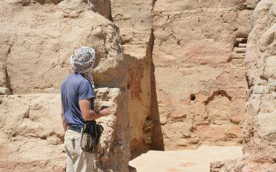 A Typology of Sogdian Cultic Spaces from the 5th to the 8th Century: Material Culture, Cultic Practices, and Sociopolitical Significance